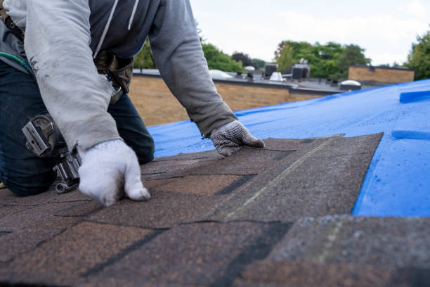 Roof Gutter Cleaning in Hermiston, OR